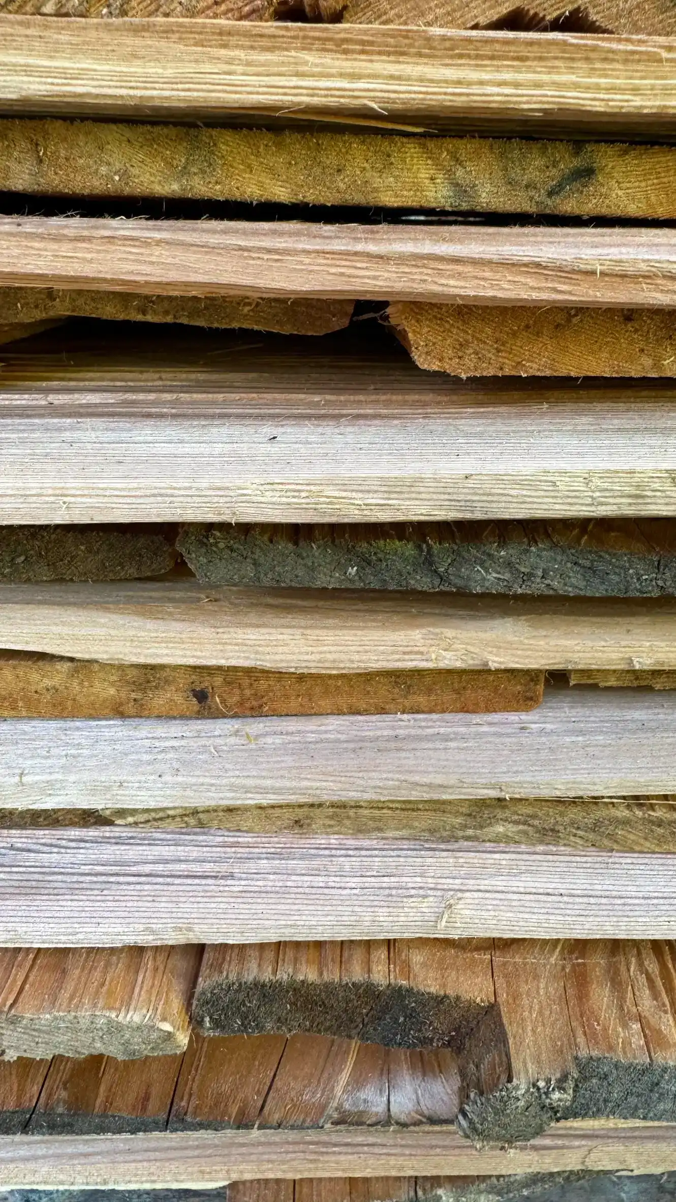 10_FullSizeRender-31