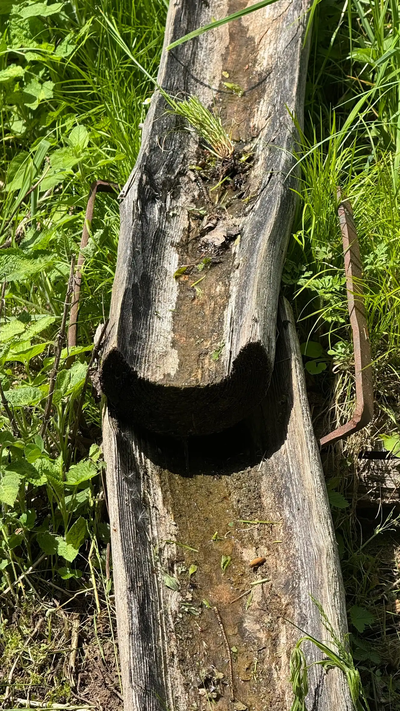 Wooden Half Pipe for Distribution of Water