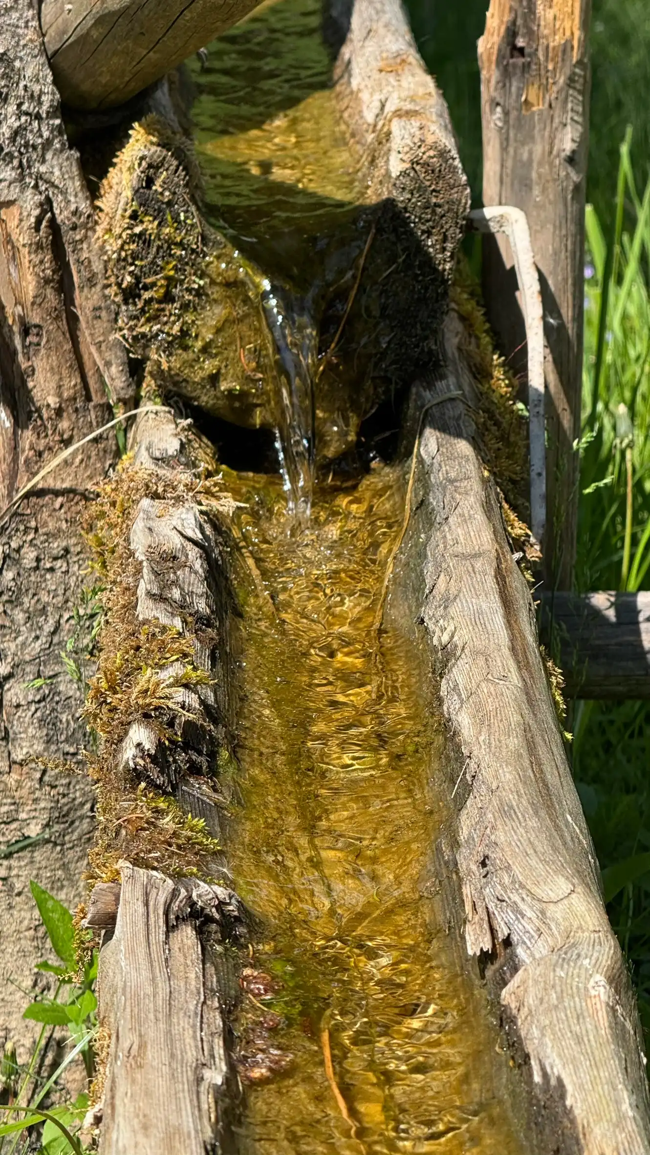 Wooden Half Pipe for Distribution of Water