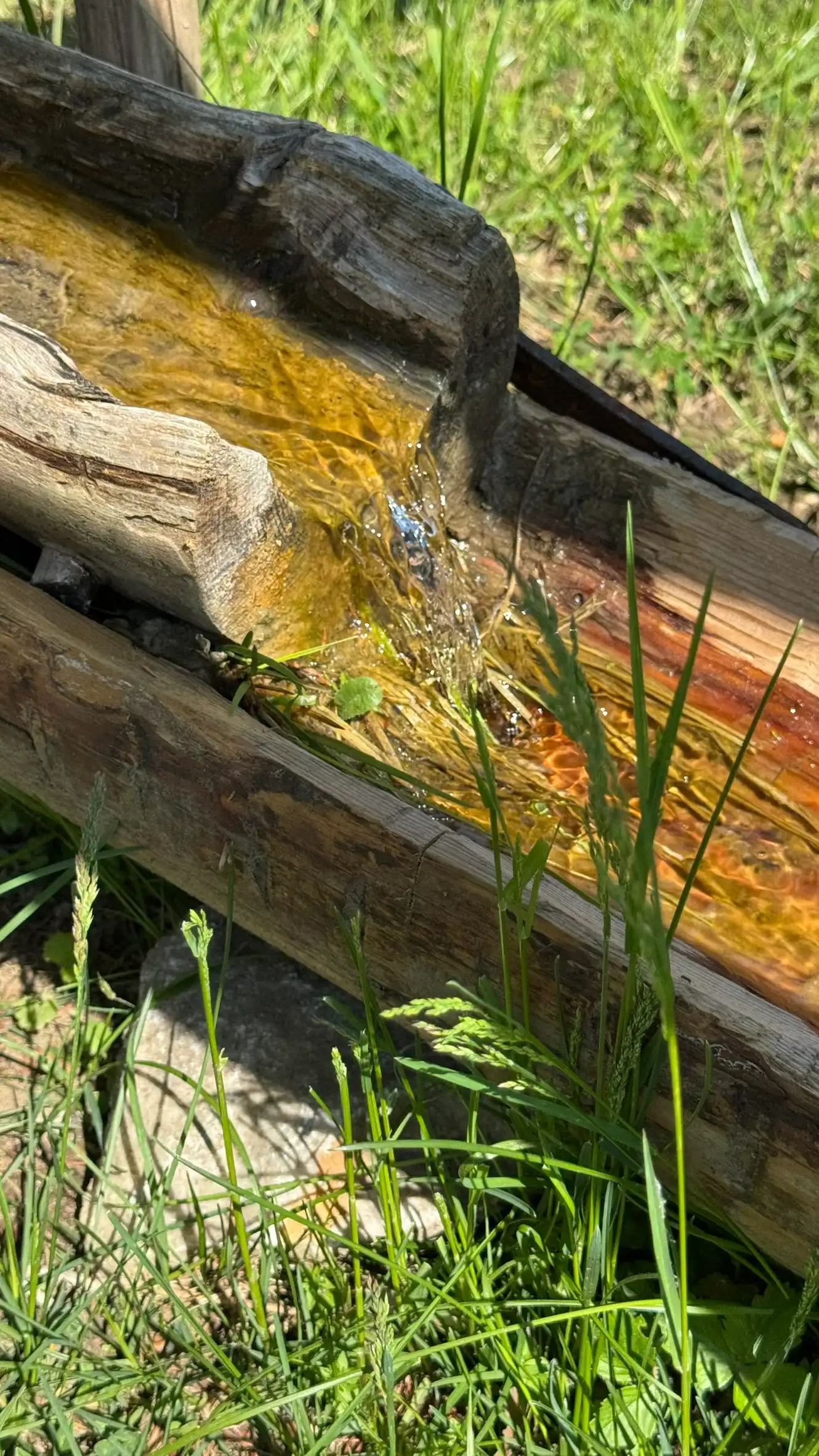Wooden Half Pipe for Distribution of Water