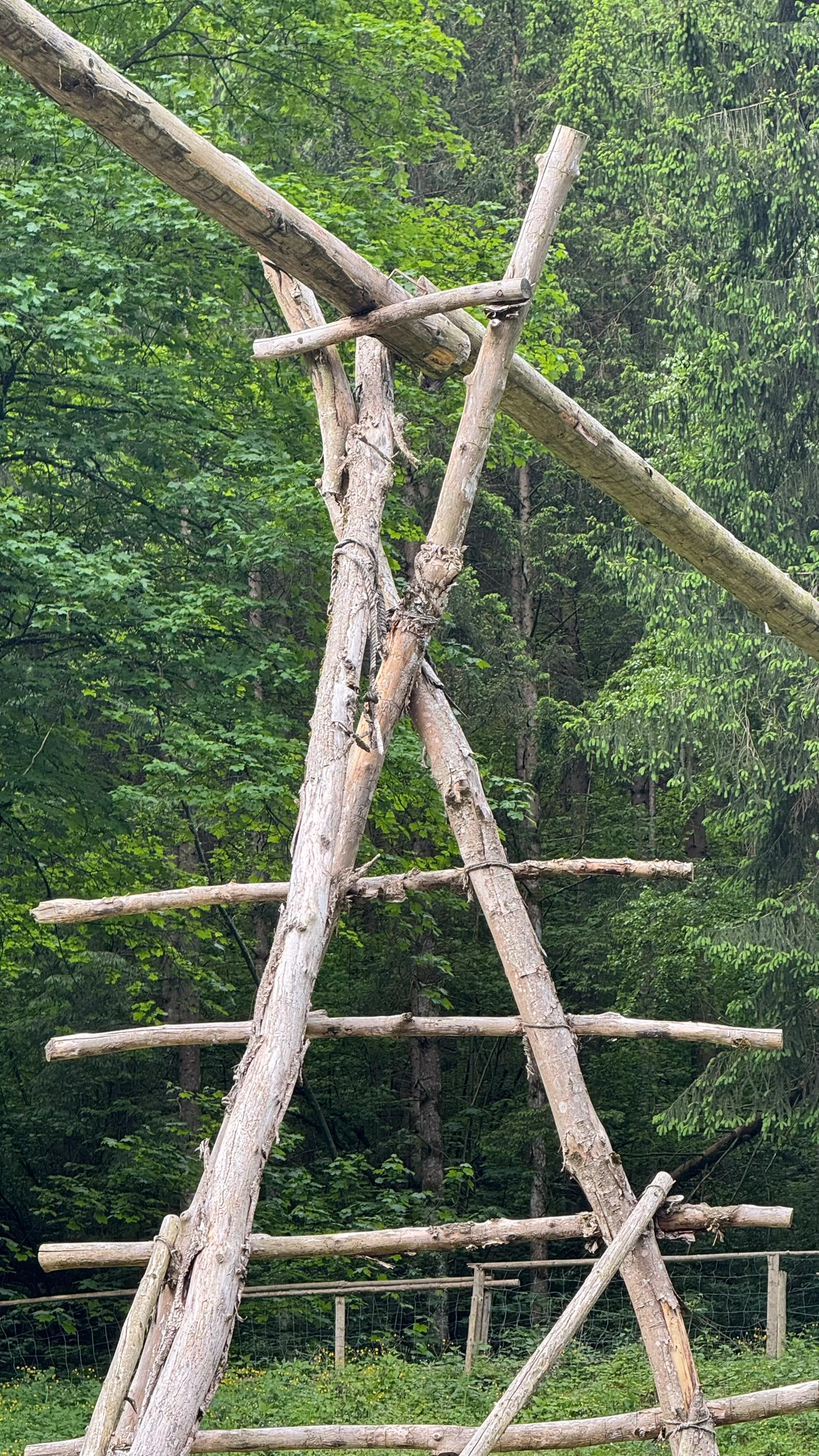 Wooden Aqueduct | Elevated Half Pipes Supported by Posts and Wooden Ladders