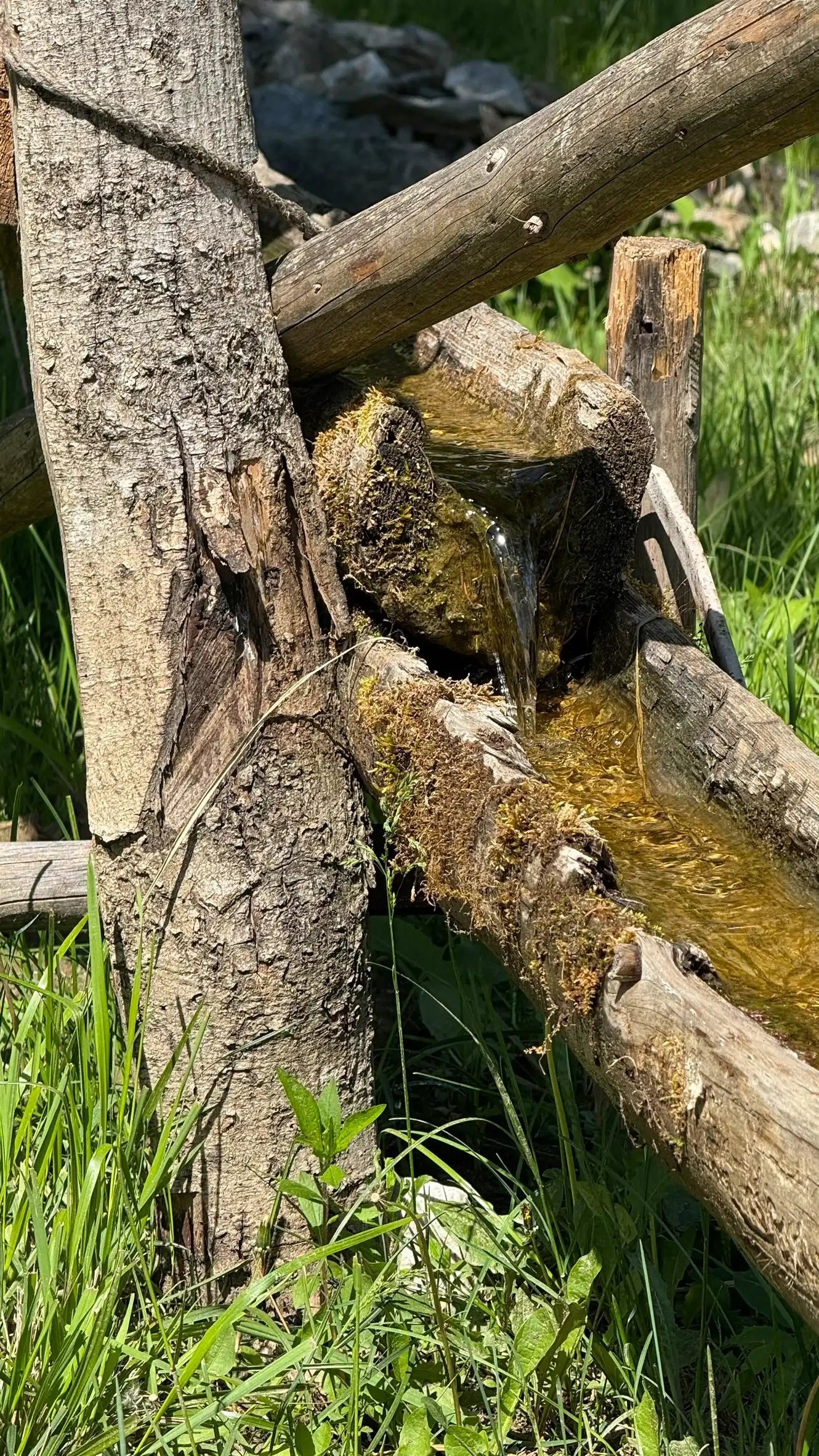 Wooden Half Pipe for Distribution of Water