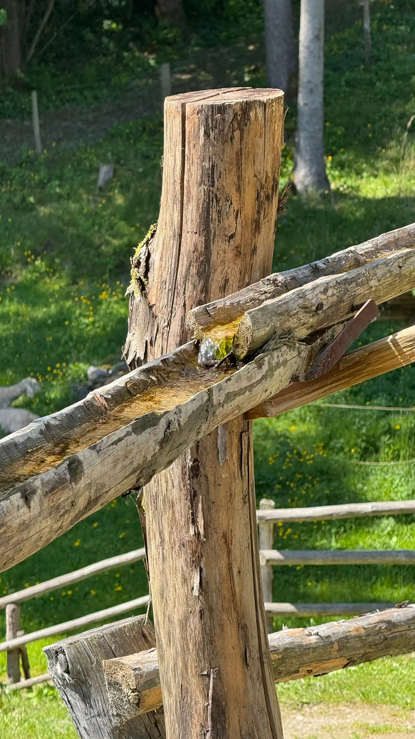 Half Pipe Supported by a Wooden Post