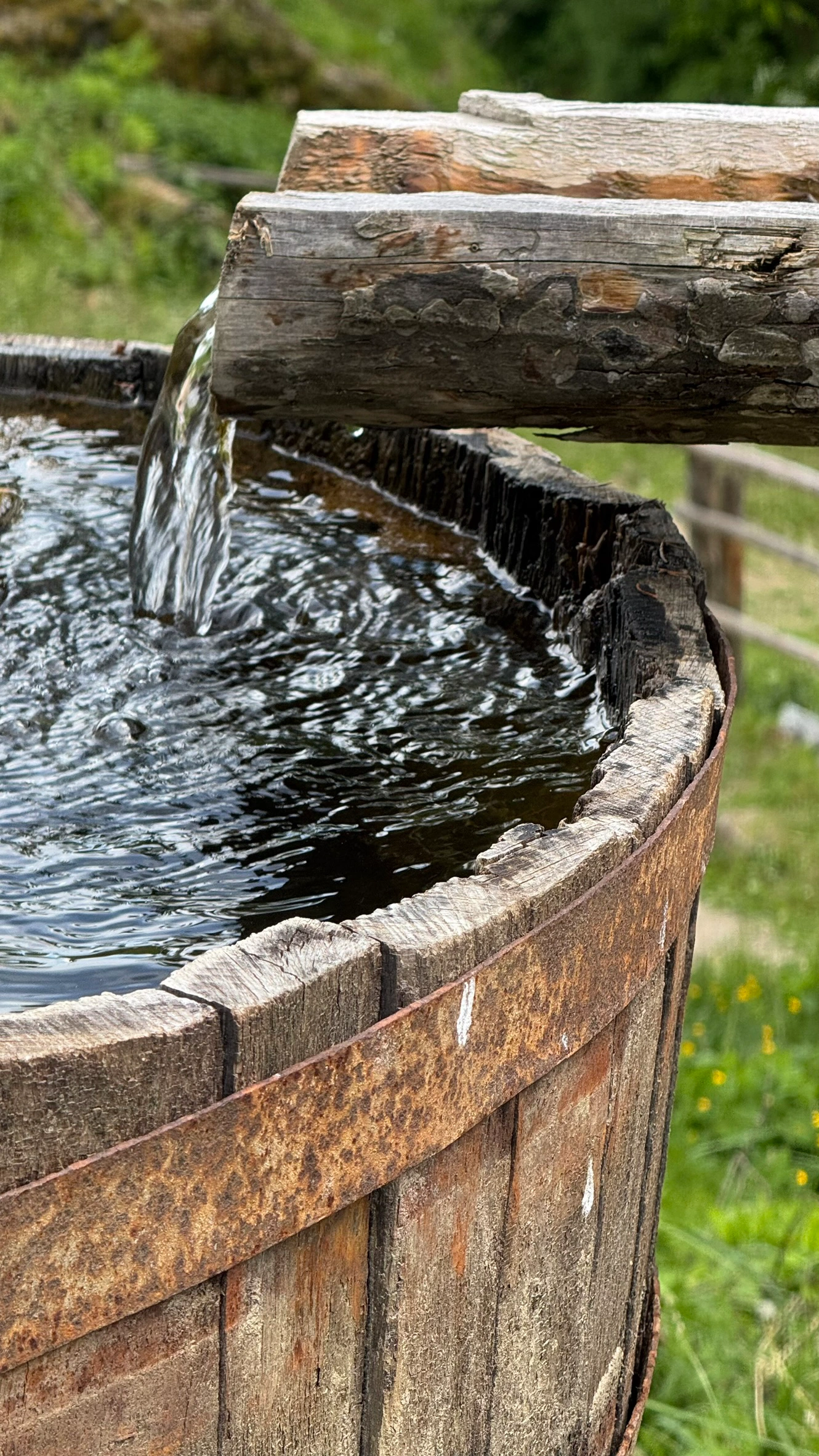 Wooden Half Pipe Feeding Trough