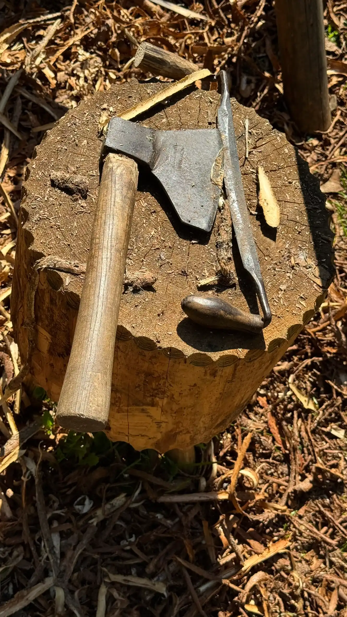 g2_12_FullSizeRender-91