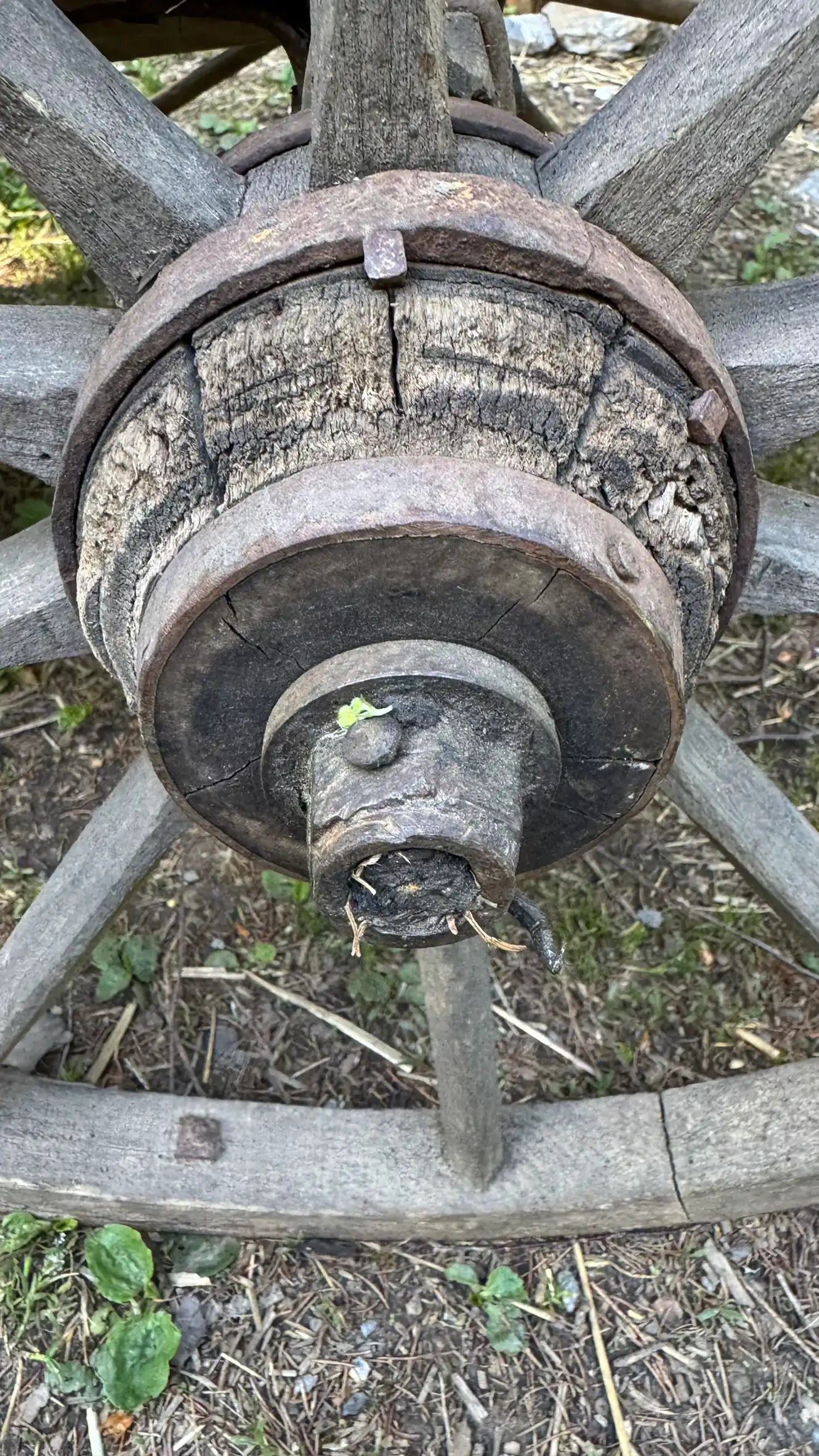 Speichenrad aus Holz mit eisenverstärkter Radnabe