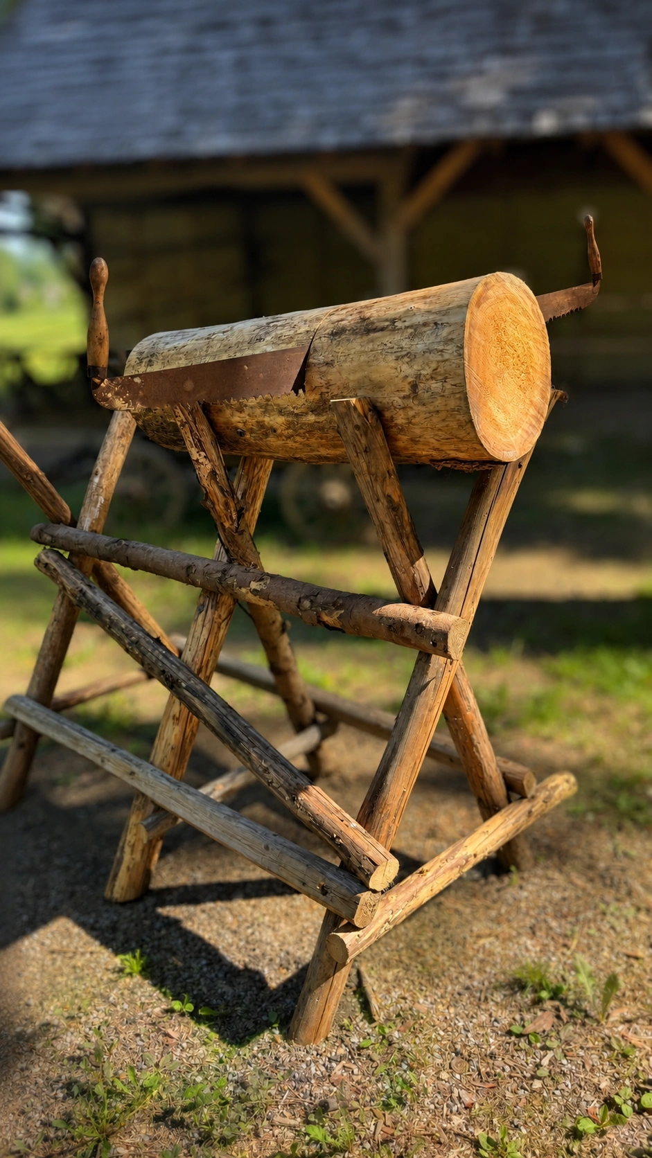 A cross-cut saw divides logs into manageable sections for further processing.