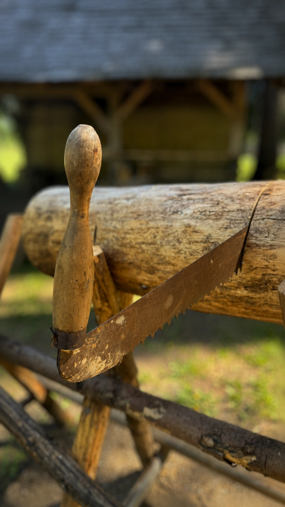 Close-up of the wooden handle and iron blade of a cross-cut saw.