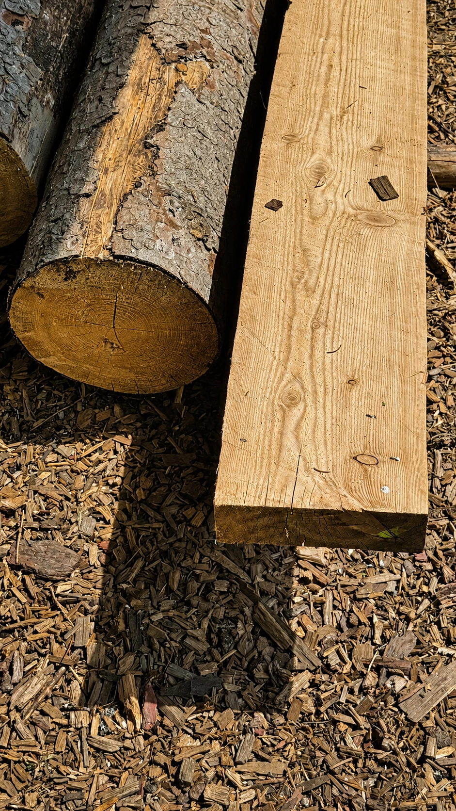 A comparison between the round log and the finished beam reveals the precision achieved through medieval sawing techniques.