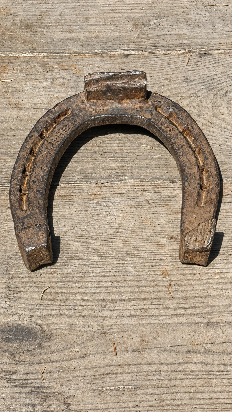 Specialised horseshoes improve traction and durability for working animals.
