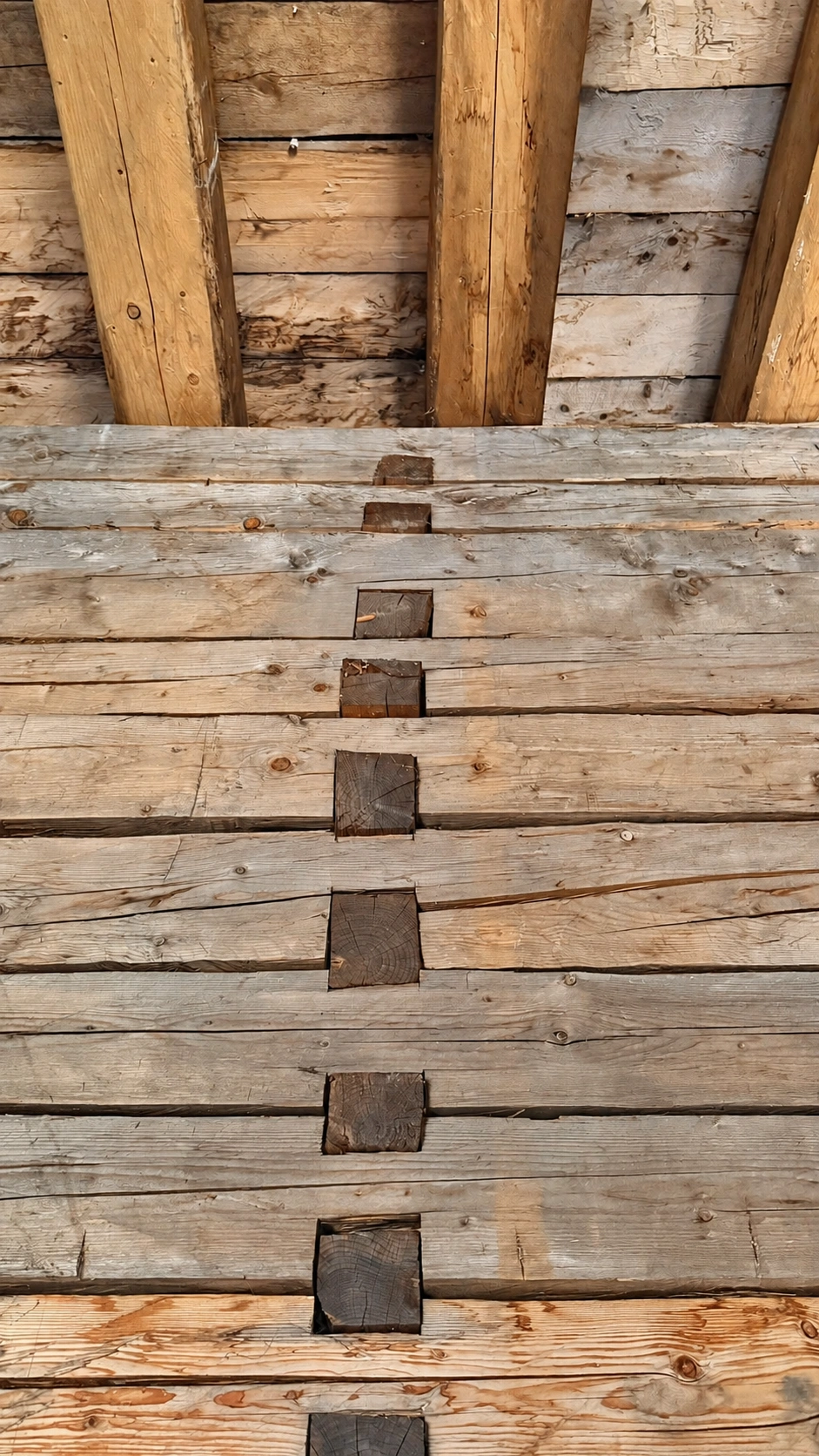 Central section of the timber block wall and the summer room ceiling.