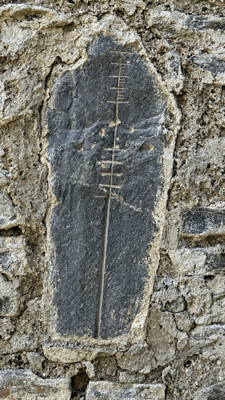 1b_cdm