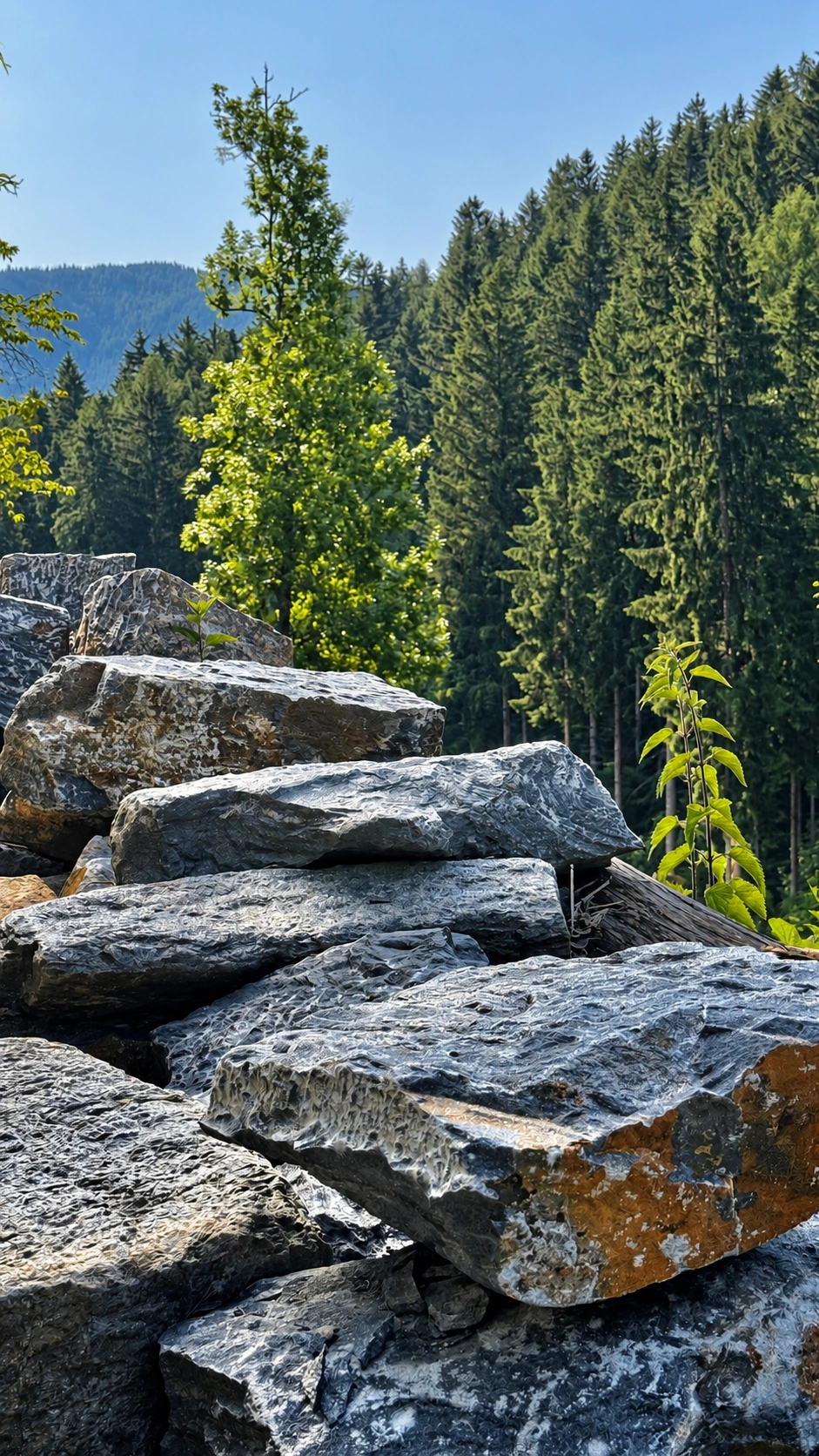 Große, unbehauene Steinblöcke liegen nahe dem geplanten Standort der Ringmauer.