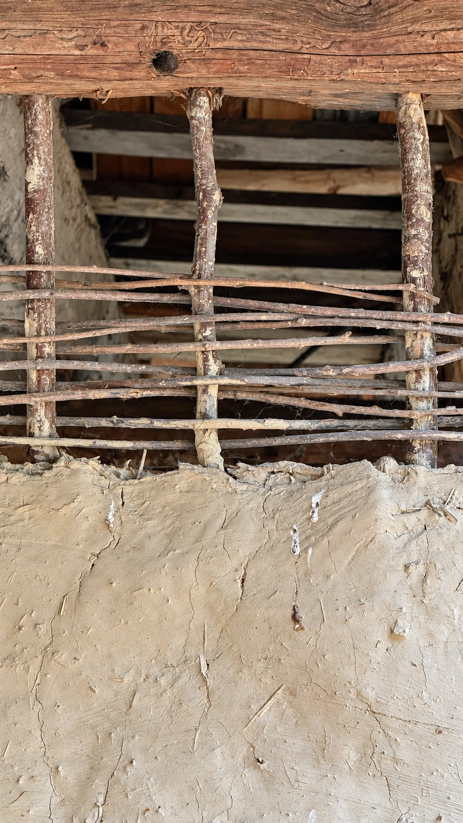 An exposed wall section reveals how woven wattle formed the base for medieval daub walls.