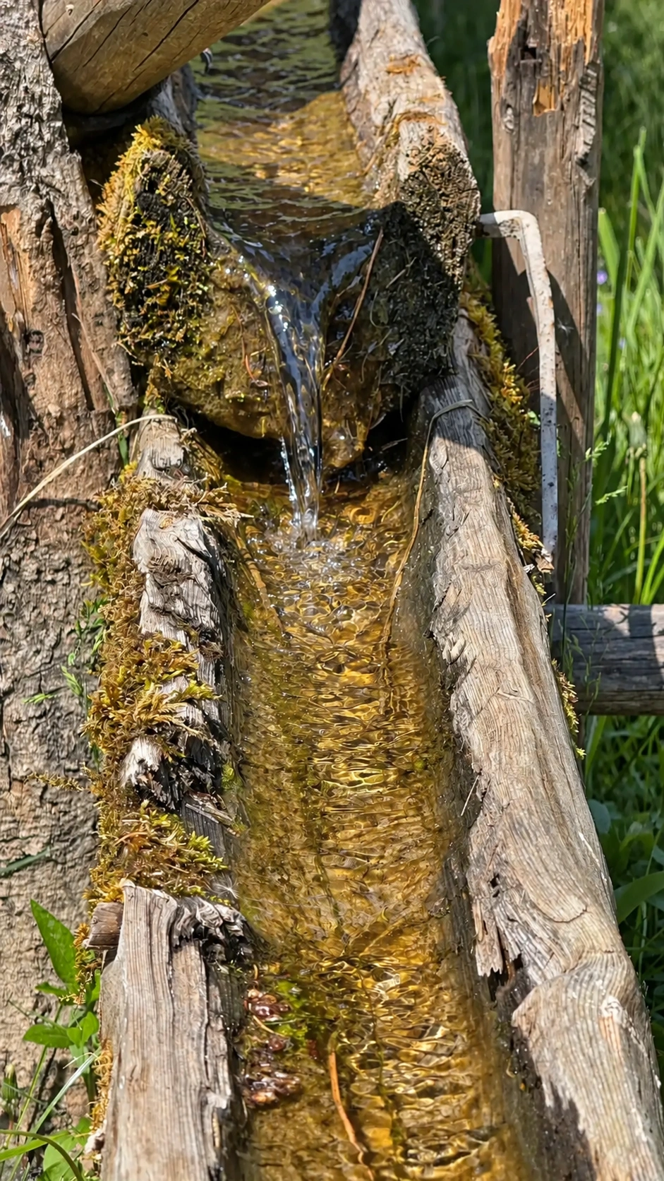 Flow of water through a wooden channel