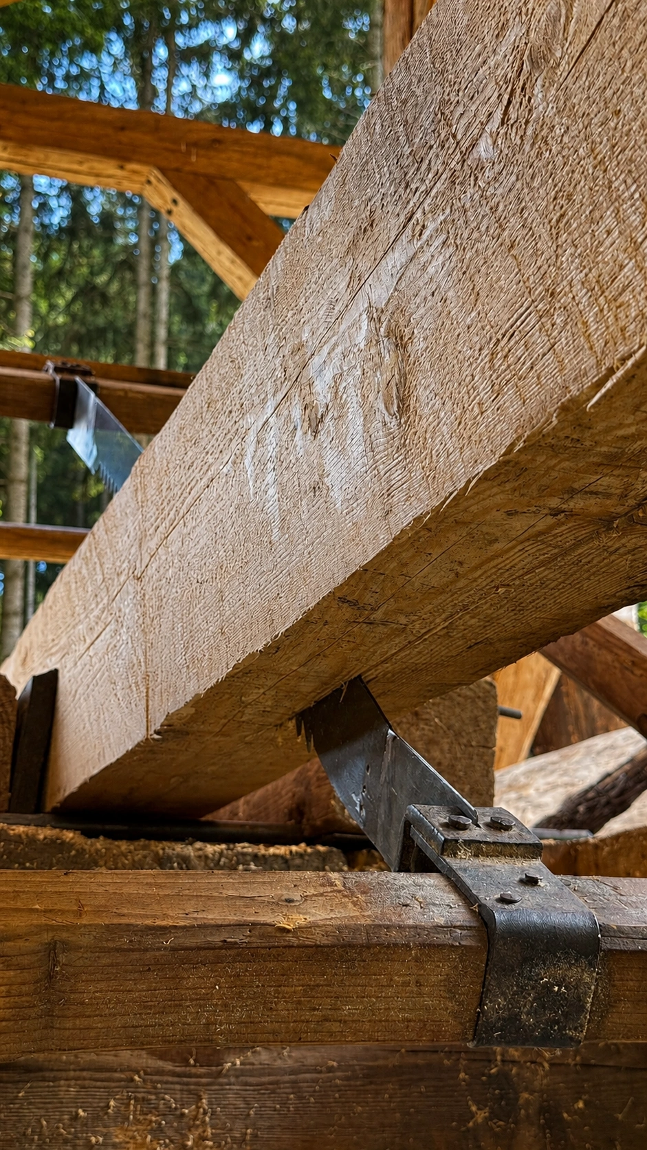 Viewed from below, the blade passes through the beam, illustrating the principle of medieval pit-sawing.