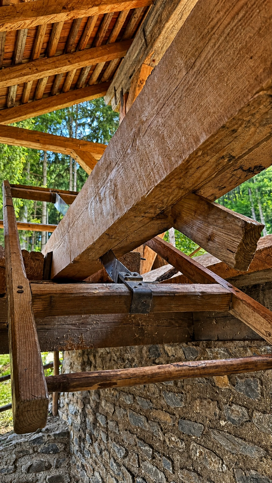 Two sawyers work in rhythm above and below the timber, driving the blade through the full depth of the wood.