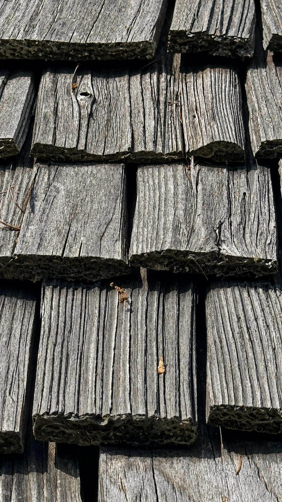 Close-up of the overlapping shingle roofing technique