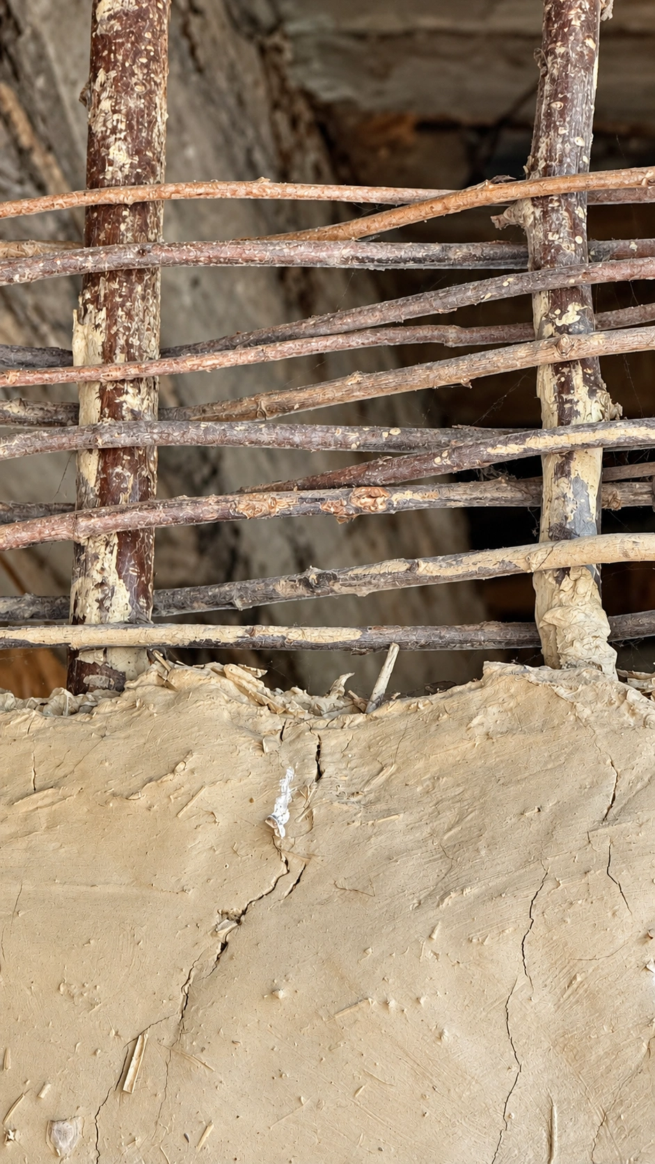 Above, exposed wattle framework. Below, finished wattle-and-daub wall.