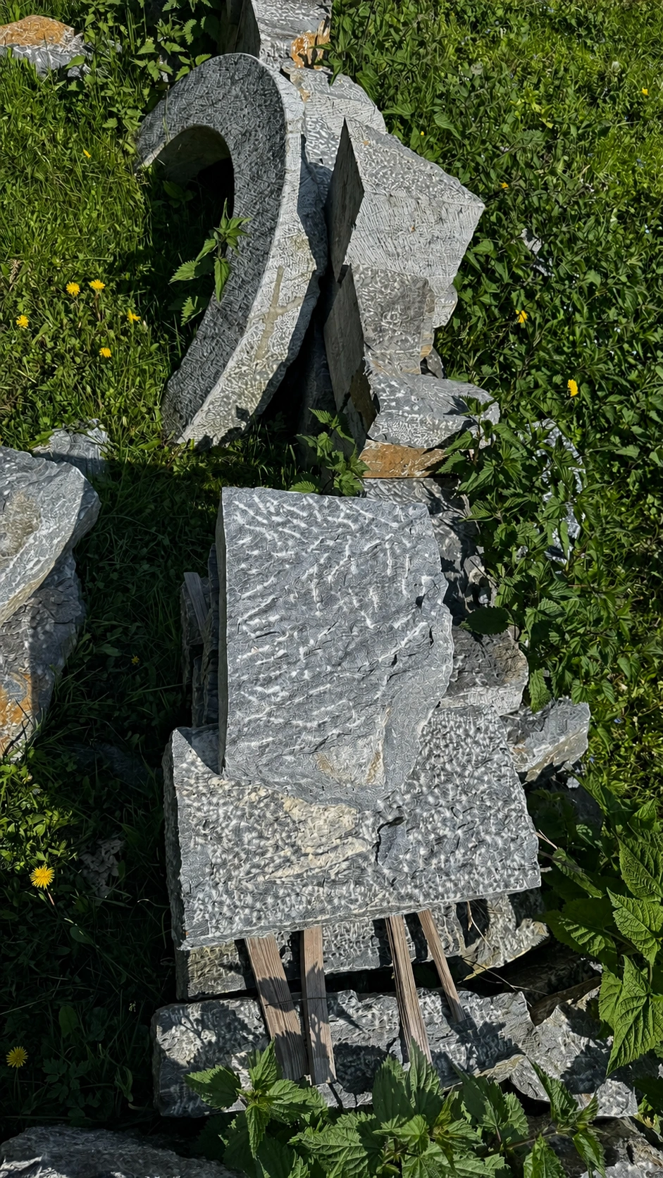6b_cdm