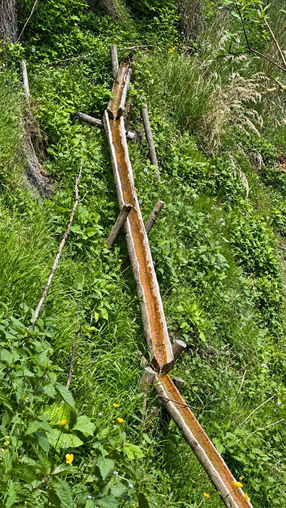 Gravity-fed water pipeline