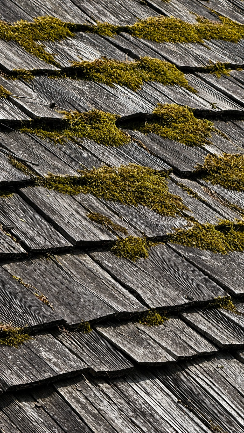 Years of exposure create a silver-grey surface and patches of moss.