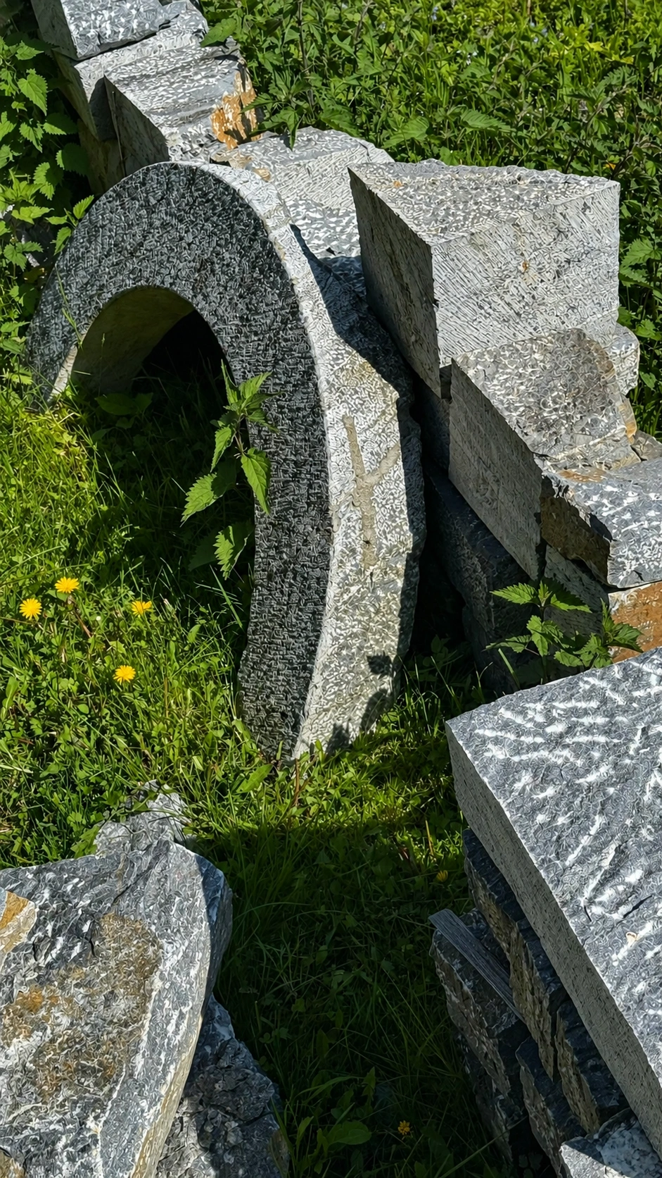 7b_cdm