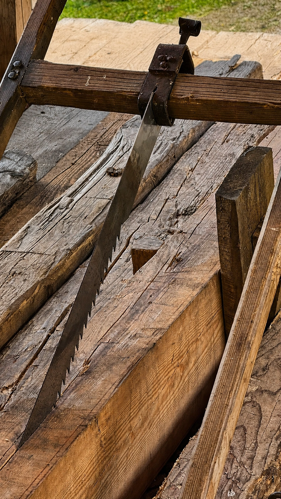 The long saw blade enters the timber exactly along the cutting line.
