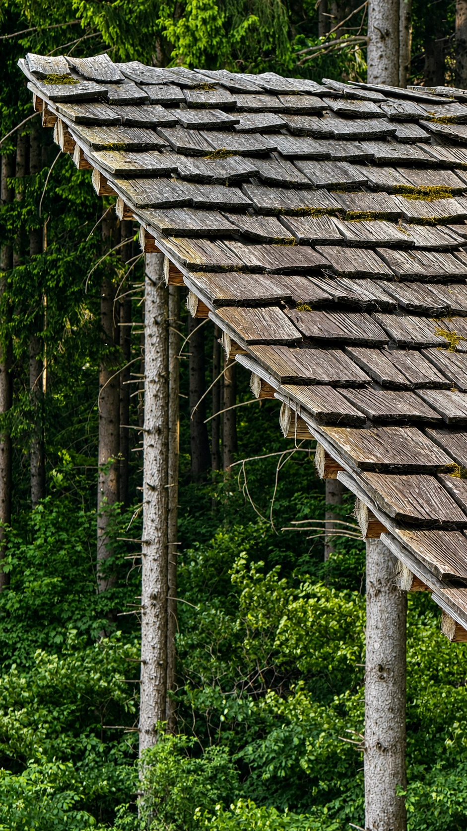 The completed roof blends naturally into the surrounding forest landscape.