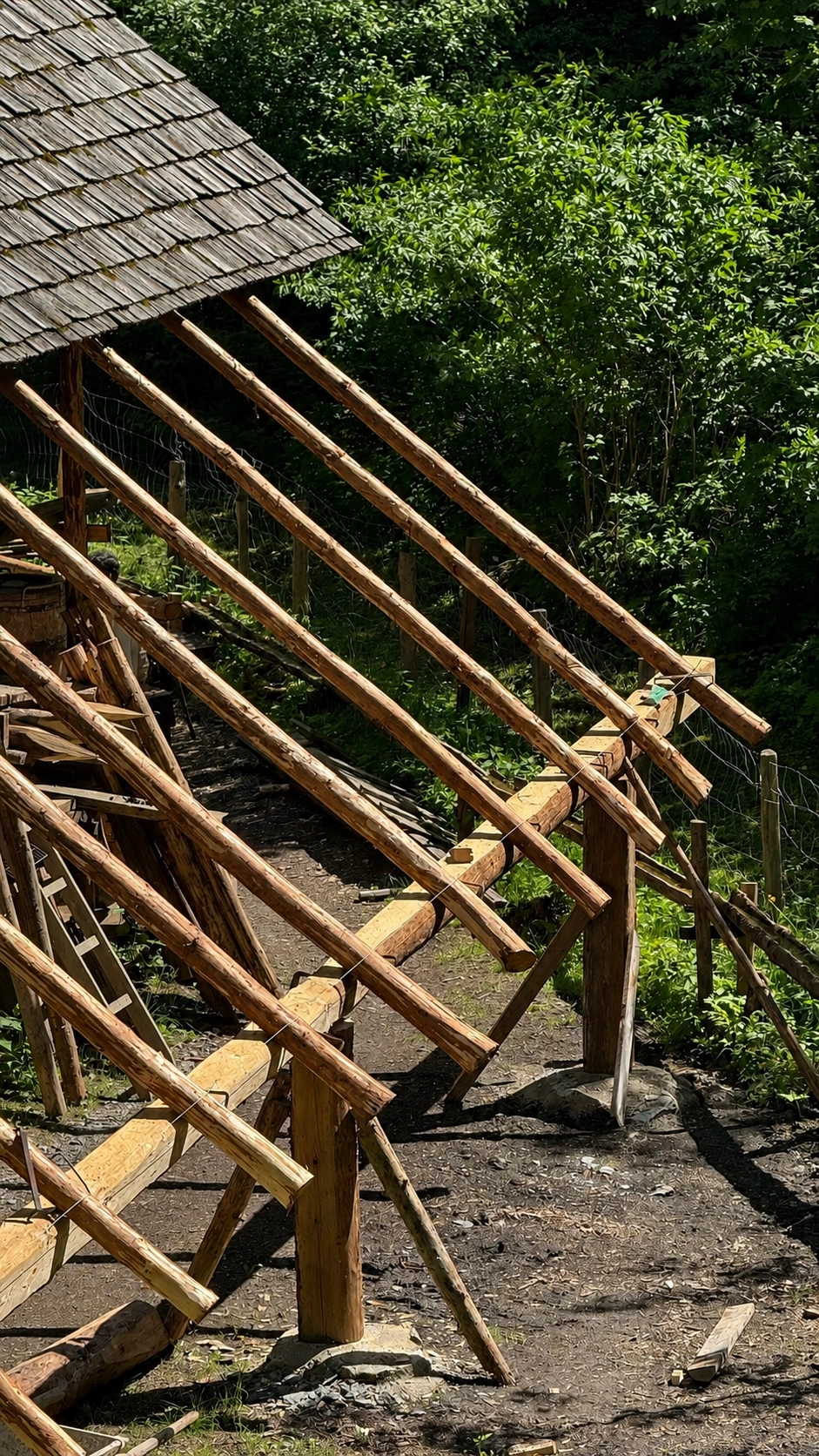 Rafters and the wall beam are in place. Battens and shingles will complete the roof.