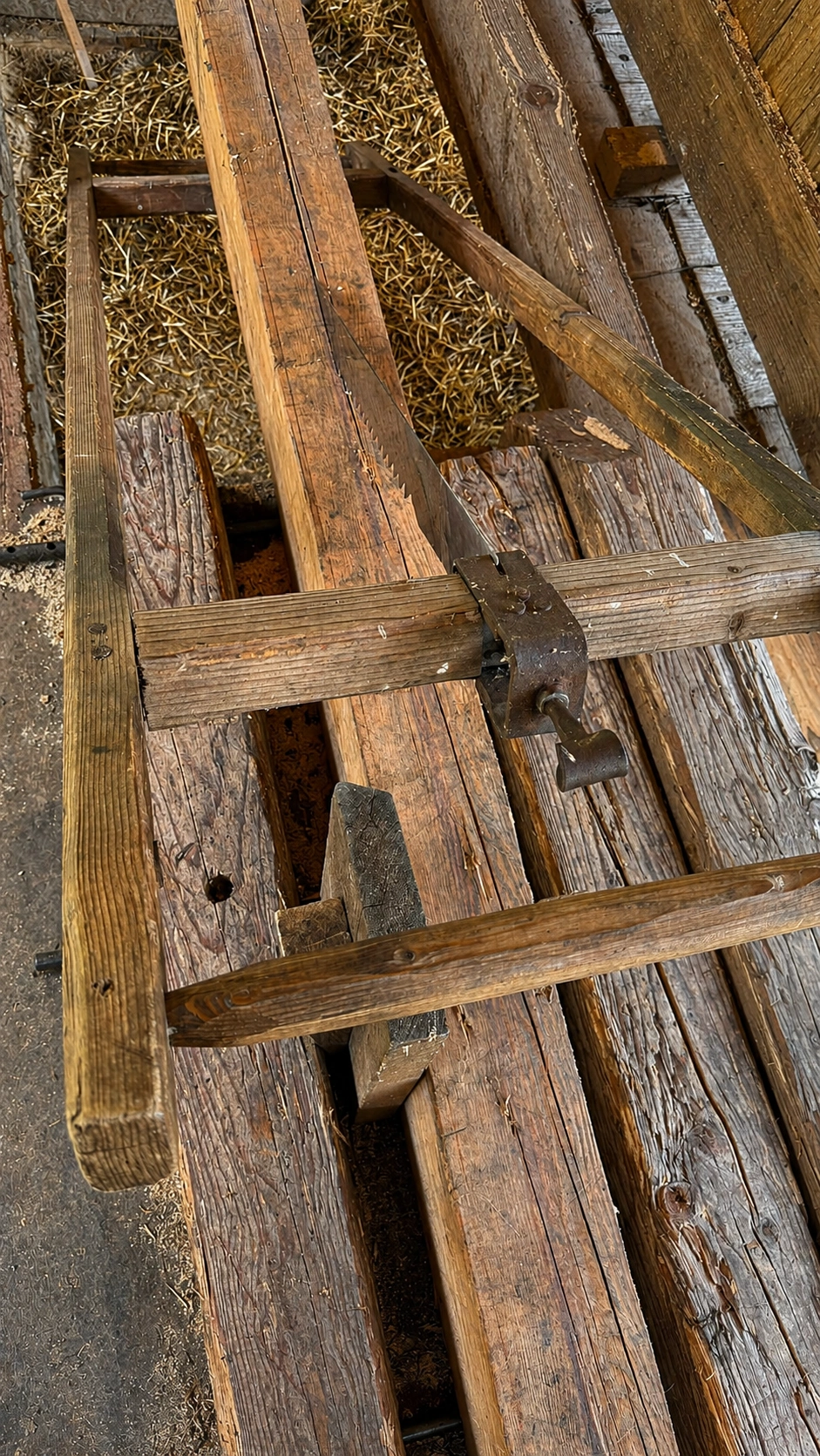 Viewed from above, the pit saw reveals the tightening screw that keeps the blade under tension during use.