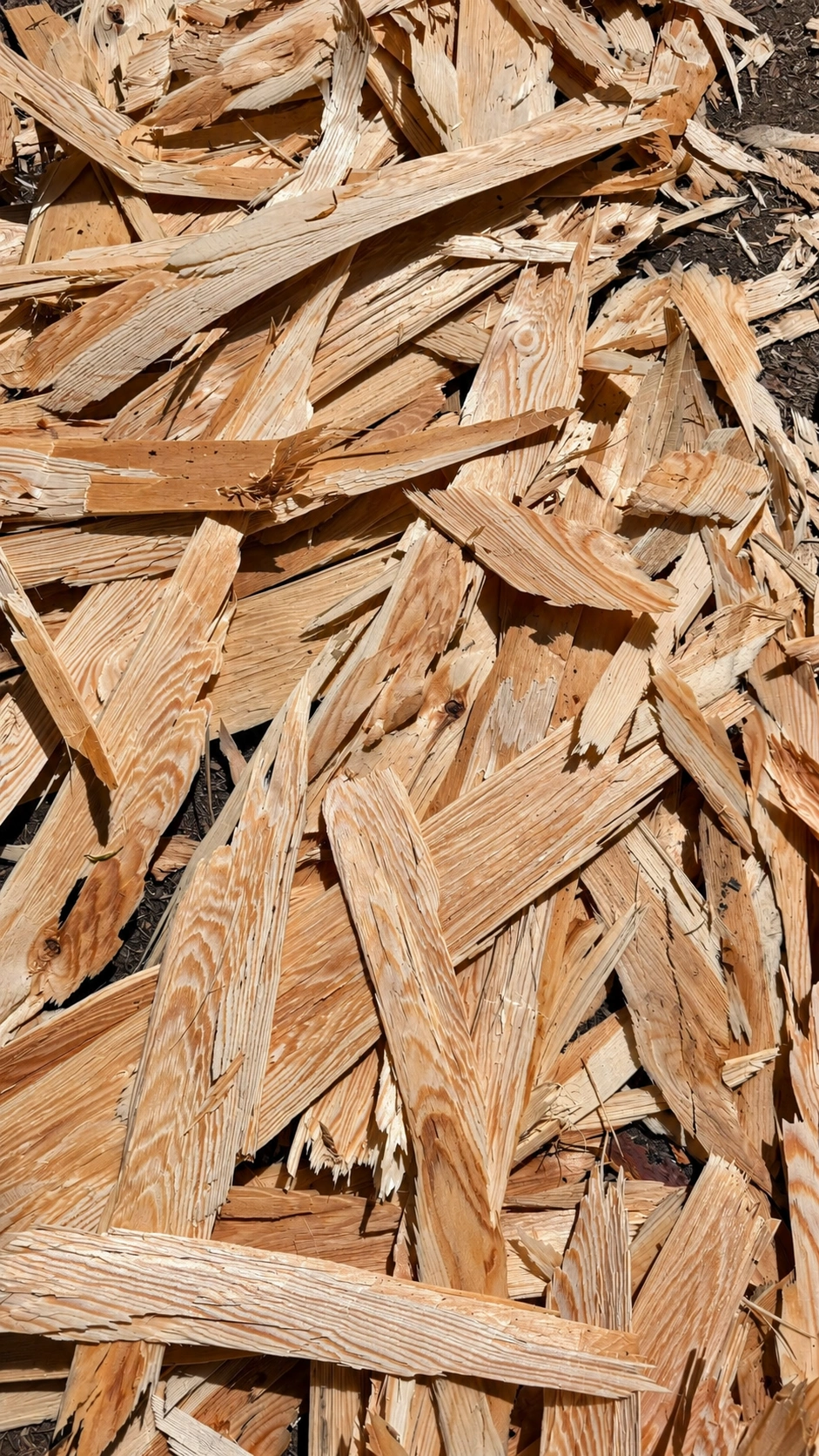 Freshly split spruce waste wood from the hewing process